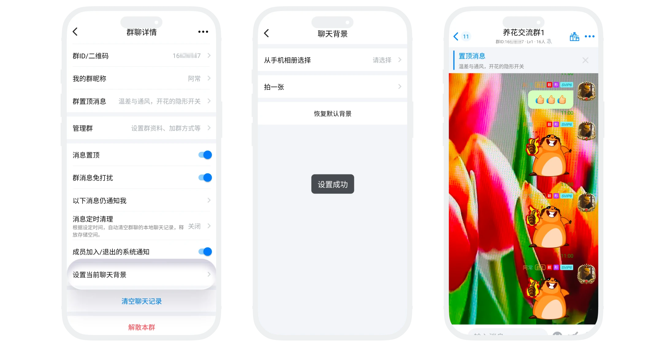设置群聊天背景